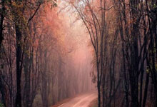 [棋牌]南洋杯世界业余围棋赛打响 中国-东盟围棋会召开.