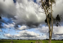 PG电子官网:德媒:基米希收到的国外报价吸引力不大,续约没加薪&签字费.